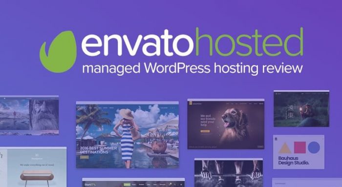 envato-hosted-review-900x445 envato-hosted-review-900x445