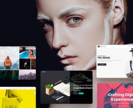 Portfolio WordPress Themes Best Portfolio WordPress Themes