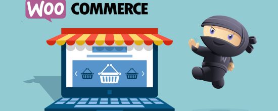 WordPress Online Store on WooCommerce WordPress Online Store on WooCommerce