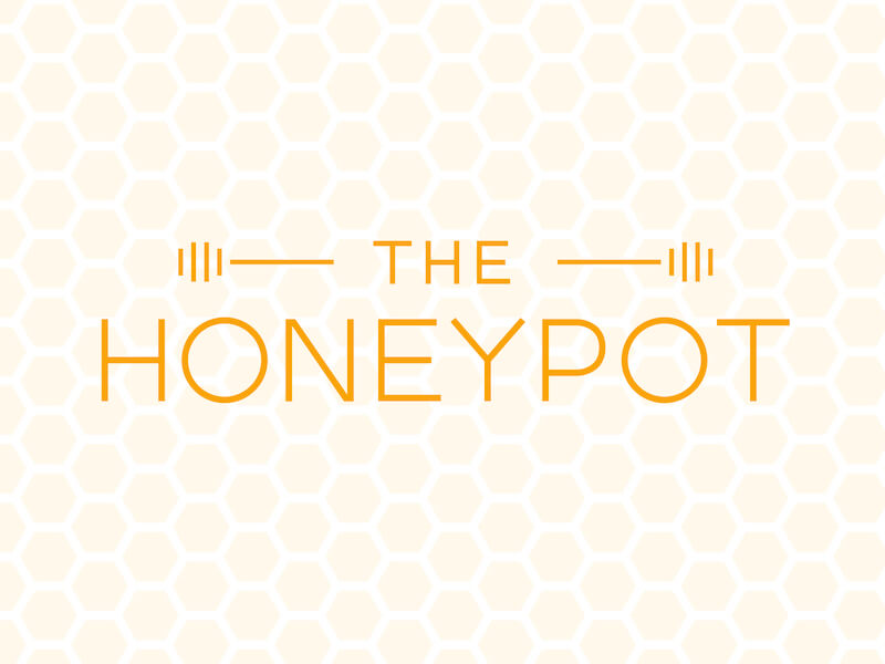 HONEYPOT TECHNIQUE OF BLOCKING SPAM